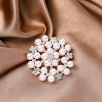 Elegant Heart Shape Flower Butterfly Imitation Pearl Alloy Rhinestone Women's Brooches main image 3