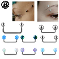 1 Piece Eyebrow Studs Casual Elegant Vacation Geometric G23 Titanium main image 1