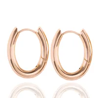 1 Pair IG Style Simple Style Commute Circle 304 Stainless Steel Earrings main image 2