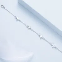 Wholesale Jewelry Elegant Romantic Shiny Geometric Sterling Silver Zircon Inlay Anklet main image 4