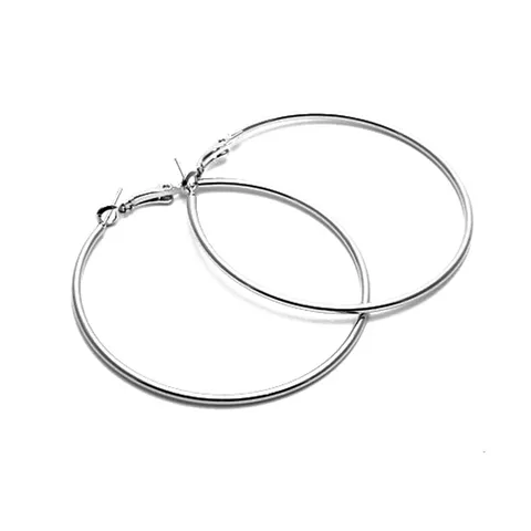 1 Pair Elegant Lady Geometric Steel Stainless Steel Earrings