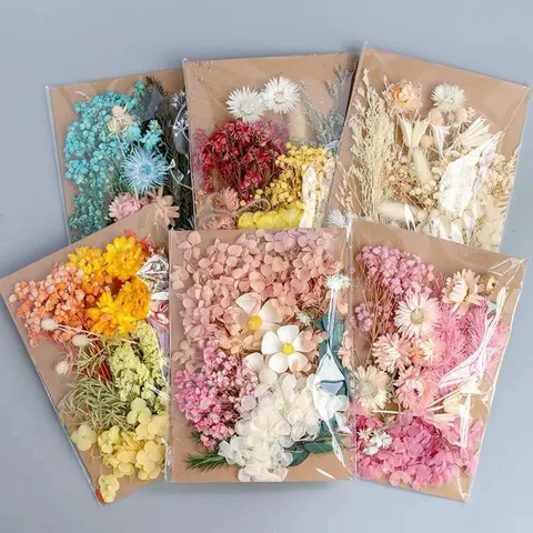 Tuanjian Yongsheng Dried Flower Diy Material Package Painting With Photo Frame Circular Fan Greeting Card Handmade Bouquet Real Flower Epoxy Embossing Bag