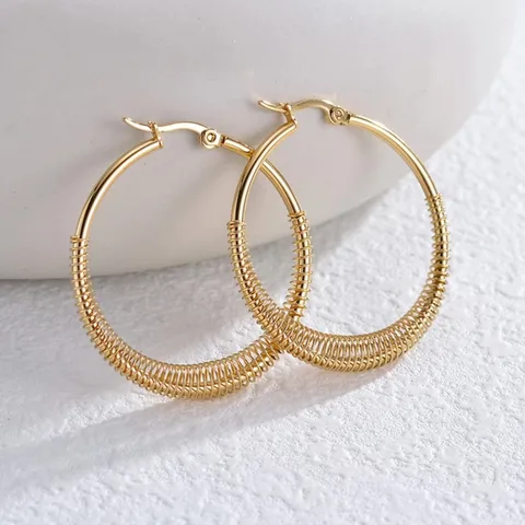 1 Pair Streetwear Oval Plating Stainless Steel Hoop Earrings