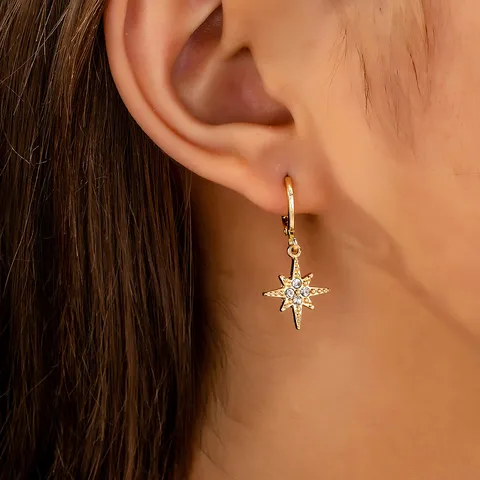 1 Pair Elegant Luxurious Artistic Star Plastic Zinc Alloy Drop Earrings