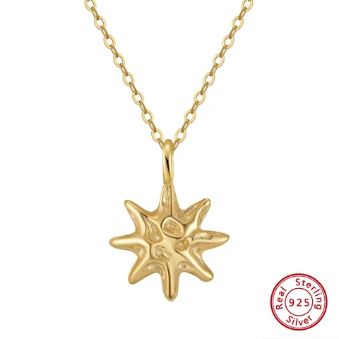 Shangda New Fashion Necklace Jewelry S925 Sterling Silver Hammered Star Pendant Necklace 14K Gold Plated Chain