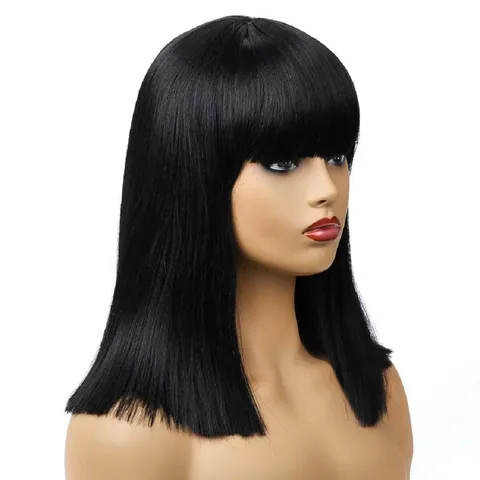 Women's Simple Style Home High Temperature Wire Bangs Straight Hair Wigs