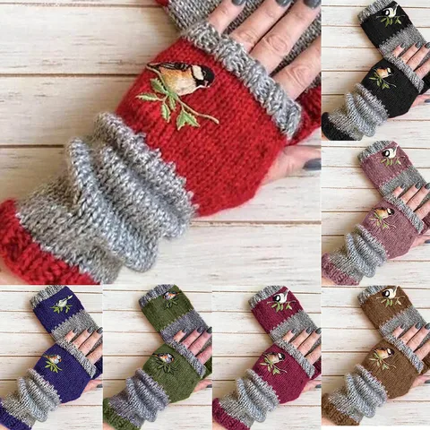 Autumn And Winter New  Wish Independent Station Hot Selling Fashion Warm Stitching Embroidered Gloves Women