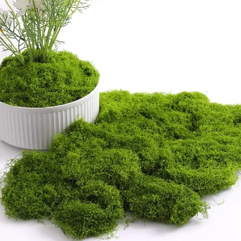 Simulation Moss Moss Landscape Bionic Fake Turf Micro Landscape Layout Ornaments Lawn  Pavement Decoration