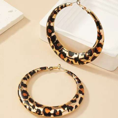 1 Pair Simple Style Cool Style Geometric Leopard Iron Earrings