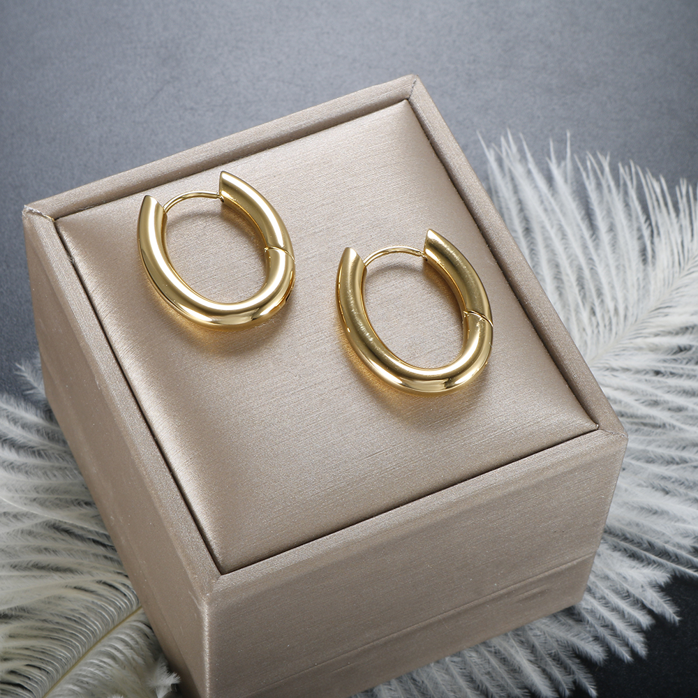 1 Pair IG Style Simple Style Commute Circle 304 Stainless Steel Earrings display picture 4